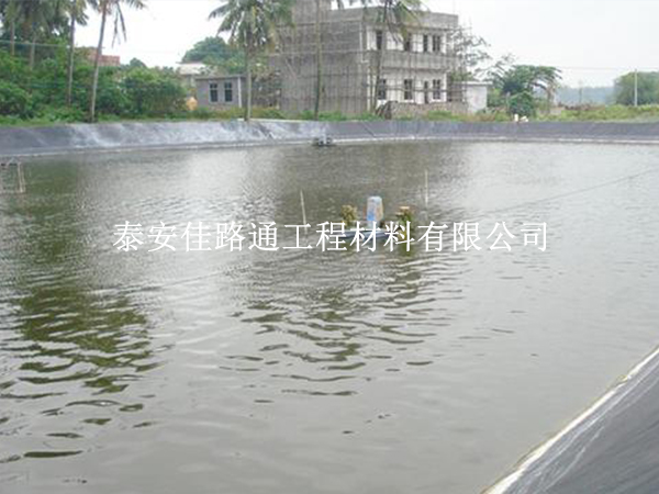 防滲土工膜：氧化塘施工建設(shè)的綠色守護(hù)者